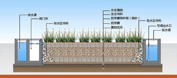 人工濕地污水處理工藝